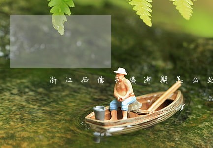 浙江征信负债逾期怎么处理 浙江征信负债逾期怎么处理