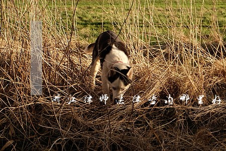 浙江律师法律咨询哪里好