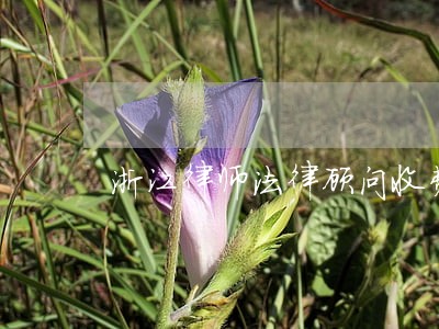 浙江律师法律顾问收费 浙江律师法律顾问收费