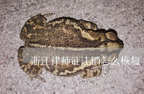 浙江律师证注销怎么恢复 浙江律师证注销怎么恢复