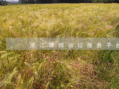 浙江律师诉讼服务平台 浙江律师诉讼服务平台