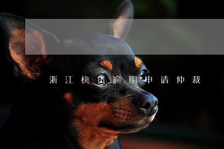 浙江快贷逾期申请仲裁 浙江快贷逾期申请仲裁