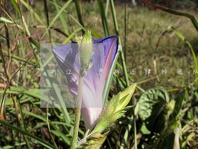 浙江房产拆迁律师团队
