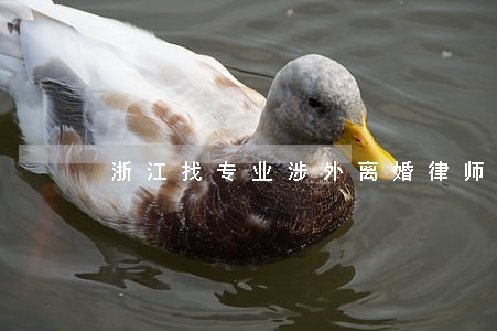 浙江找专业涉外离婚律师 浙江找专业涉外离婚律师