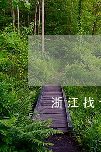 浙江找专业离婚律师费用 浙江找专业离婚律师费用