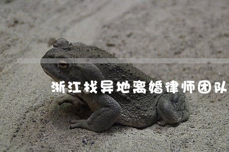 浙江找异地离婚律师团队