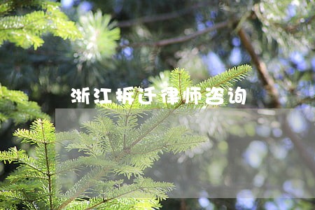 浙江拆迁律师咨询 浙江拆迁律师咨询
