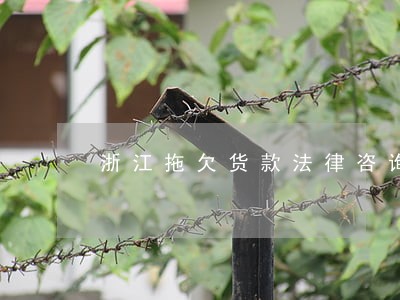 浙江拖欠货款法律咨询 浙江拖欠货款法律咨询