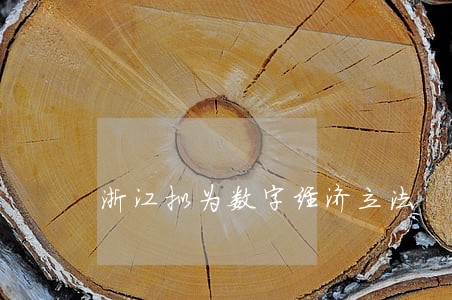 浙江拟为数字经济立法 浙江拟为数字经济立法