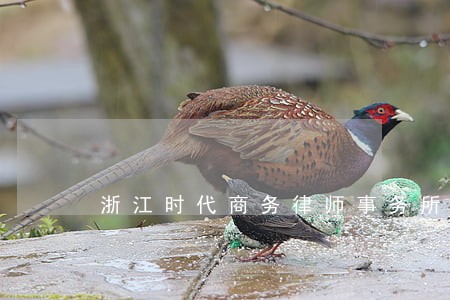 浙江时代商务律师事务所律师 浙江时代商务律师事务所律师