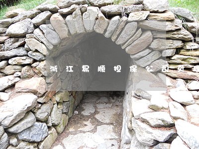 浙江易顺担保公司处理车贷逾期 浙江易顺担保公司处理车贷逾期