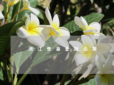 浙江普惠金融逾期 浙江普惠金融逾期
