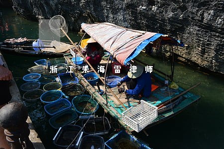 浙江朱海雷律师 浙江朱海雷律师