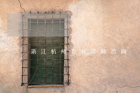 浙江杭州专业律师咨询