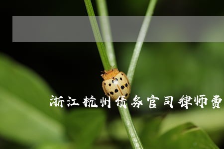 浙江杭州债务官司律师费怎么算 浙江杭州债务官司律师费怎么算