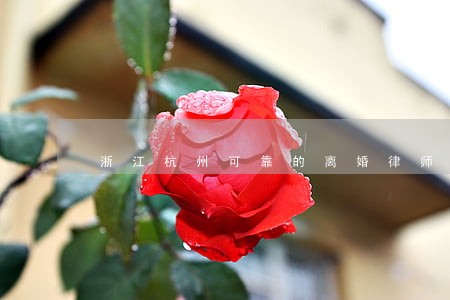 浙江杭州可靠的离婚律师 浙江杭州可靠的离婚律师