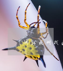 浙江杭州找医疗纠纷律师收费 浙江杭州找医疗纠纷律师收费