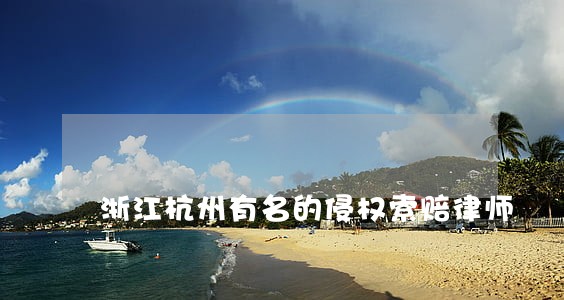 浙江杭州有名的侵权索赔律师 浙江杭州有名的侵权索赔律师