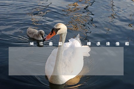 浙江查获26艘违法渔船 浙江查获26艘违法渔船