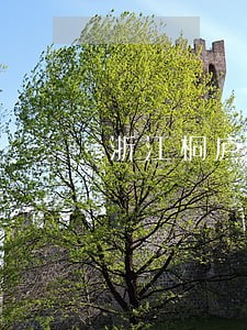 浙江桐庐债务合同律师 浙江桐庐债务合同律师