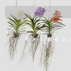 浙江欠工程款律师电话咨询 浙江欠工程款律师电话咨询