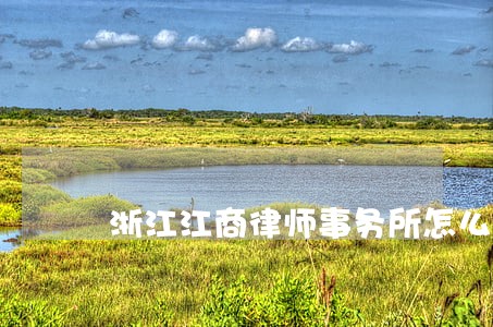 浙江江商律师事务所怎么样 浙江江商律师事务所怎么样
