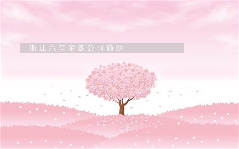 浙江汽车金融公司逾期 浙江汽车金融公司逾期