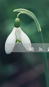 浙江法保网企业法律顾问 浙江法保网企业法律顾问