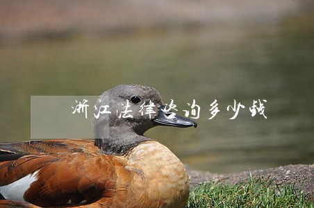浙江法律咨询多少钱 浙江法律咨询多少钱