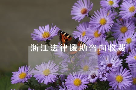 浙江法律援助咨询收费 浙江法律援助咨询收费