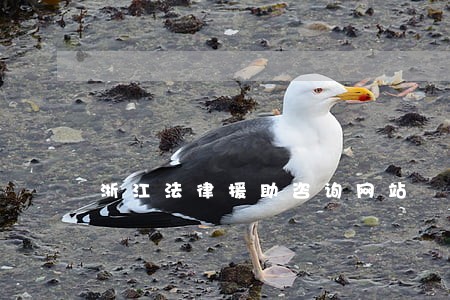 浙江法律援助咨询网站 浙江法律援助咨询网站