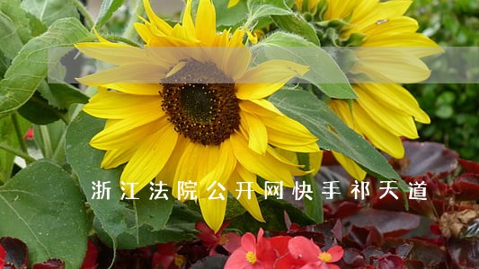 浙江法院公开网快手祁天道 浙江法院公开网快手祁天道