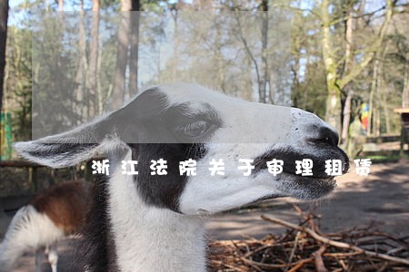 浙江法院关于审理租赁 浙江法院关于审理租赁