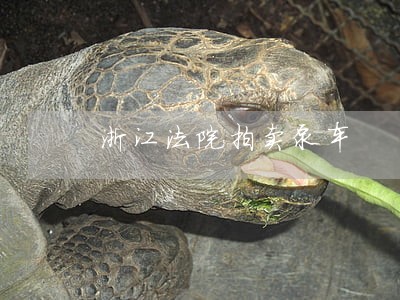 浙江法院拍卖泵车 浙江法院拍卖泵车