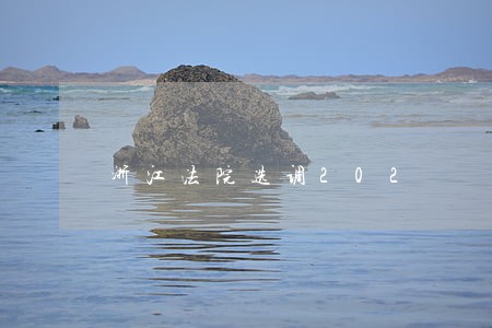 浙江法院选调202 浙江法院选调202