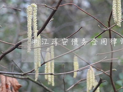 浙江淳安债务合同律师