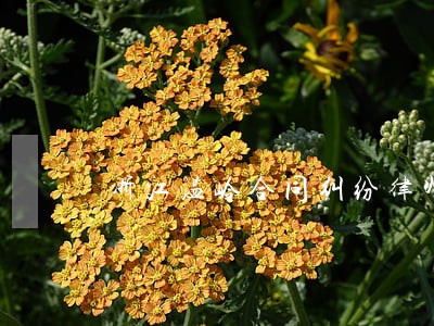浙江温岭合同纠纷律师 浙江温岭合同纠纷律师