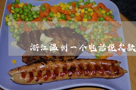 浙江温州一个电话说欠款逾期 浙江温州一个电话说欠款逾期