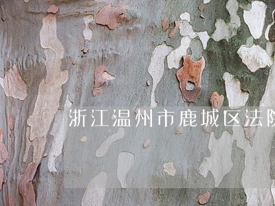 浙江温州市鹿城区法院林毅法官