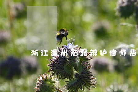 浙江温州无罪辩护律师费用多少 浙江温州无罪辩护律师费用多少
