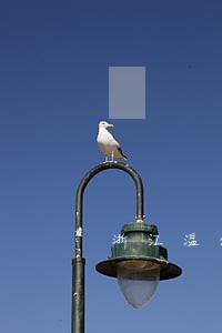 浙江温州泰顺债务律师咨询热线 浙江温州泰顺债务律师咨询热线