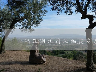 浙江湖州司法拍卖房屋 浙江湖州司法拍卖房屋