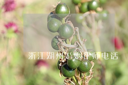 浙江湖州婚姻律师电话 浙江湖州婚姻律师电话