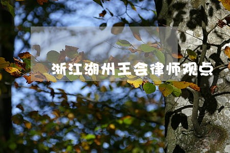 浙江湖州王会律师观点 浙江湖州王会律师观点