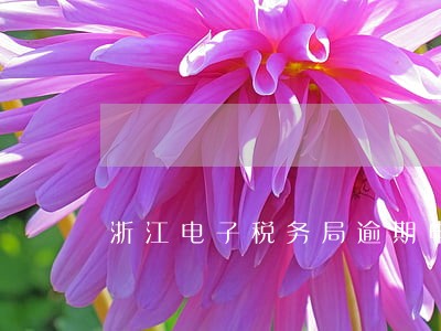浙江电子税务局逾期申报模板 浙江电子税务局逾期申报模板