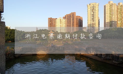 浙江电票逾期付款咨询 浙江电票逾期付款咨询