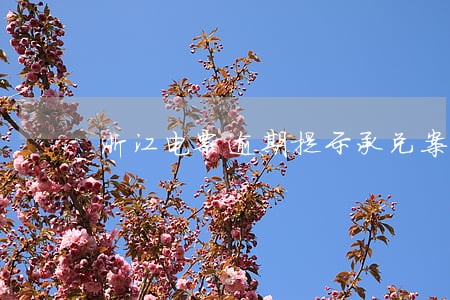 浙江电票逾期提示承兑案例 浙江电票逾期提示承兑案例