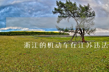 浙江的机动车在江苏违法怎么查 浙江的机动车在江苏违法怎么查