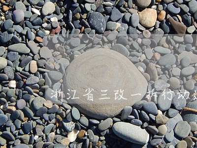 浙江省三改一拆行动违法