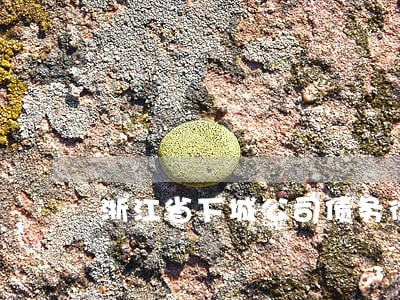 浙江省下城公司债务律师 浙江省下城公司债务律师